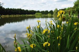 Lake Two at Eye Kettleby Lakes