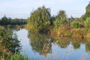 Lake Six island
