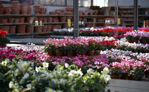 Garden Centres Garden Centres