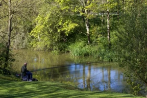 Lake 3 at Eye Kettleby Lakes
