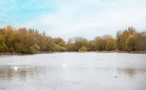 Melton Country Park Melton Country Park