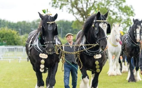 Rutland Show Rutland Show