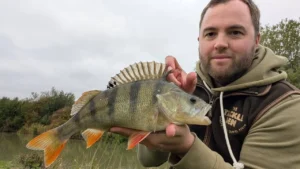 Fish caught at Lake Seven at Eye Kettleby Lakes